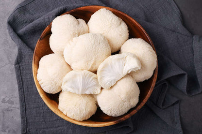 Lion's Mane Mushroom